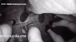 encoxada.me - Precum in Club 3 • Pornhex