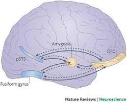 What Causes Cotard S Syndrome All About Cotard S Syndrome