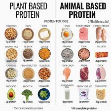 Whilst Some May Denounce Animal Based Proteins As An Unethical Or Contaminated Food Source Separation Of Scienti Diet And Nutrition Workout Food Food Source