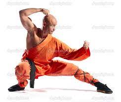 Shaolin Warrior Monk Martial Arts Shaolin Fighting Poses