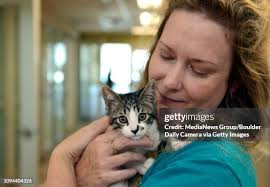 135 Longmont Humane Society Stock Photos, High-Res Pictures, and Images