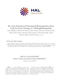 Ex Vivo Selection of Transduced Hematopoietic Stem Cells for Gene Therapy  of -Hemoglobinopathies