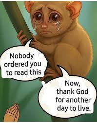 Nobody ordered you to read this Now, thank God for another day to live.