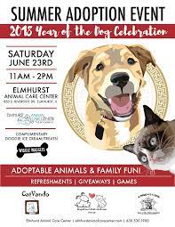 Adopt a pet jazwares toys promo codes. Eacc Summer Adoption Event 2018 Magnificent Mutts Rescue