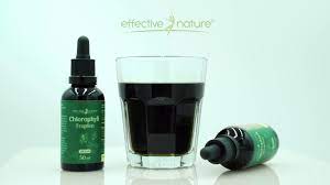 Chlorophyll, a natural green pigment, takes part widely in the nutrition of humans. Chlorophyll Drops 100 Pure Natural From Alfalfa