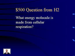 A series of metabolic processes that take place within a cell in which the biochemical energy is harvested from. Jeopardy Photosynthesis Cellular Respiration Photosynthesis Vs Respiration Chloroplasts