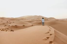 From arabic صَحَارَى‎ (ṣaḥārā, deserts). Our Night In The Sahara Desert Along Dusty Roads