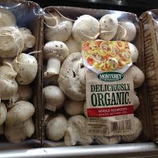 Many gourmet mushrooms, such as chanterelles and oysters, can only be stored for 12 to 24 hours. Ingredients 101 Selecting Cleaning Storing Fresh Mushrooms Food Hacks Wonderhowto