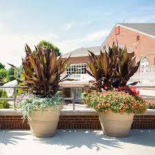 Commercial Outdoor Planters: Wholesale Flower Pots in Bulk