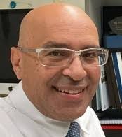 About the Guest Editors