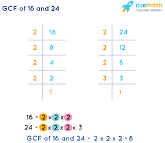 Generate a pdf worksheet, download it to your device and print it off to share with your students. Gcf Of 16 And 24 How To Find The Gcf Of 16 And 24 Solved