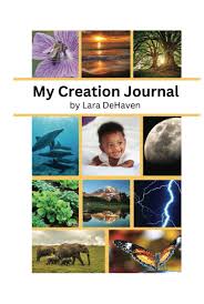 My Creation Journal: DeHaven, Lara: Amazon.com: Books