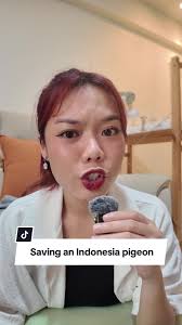 Do you think he was injured or was he just burnt out from flying??? 🫠🫠🫠  #pigeon #ACRES #rescuingbirds