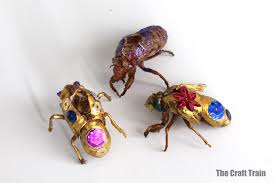 Select from premium cicada shell of the highest quality. Cidada Shell Art The Craft Train