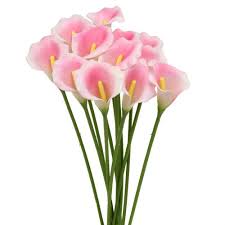 The group consists of enrico filisetti (vocals), ivan savino (synthesizers & programming), and daniele de fabritiis (guitars). Calla Deko Blume Rosa 57cm 12st 78319 Preiswert Online Kaufen