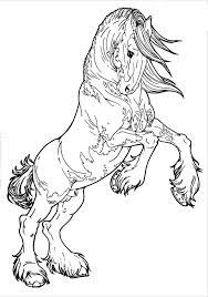 These include various kinds of coloring books and, talking about the new generation, free of charge printable coloring webpages from the internet. Patterned Clydesdale By Applehunter On Deviantart Horse Coloring Pages Horse Coloring Animal Coloring Pages