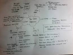 Contoh out line rancang penelitian (selain menguji hipotesis). Membuat Outline Tulisan Dengan Bantuan Rumus 5w 1h Carolina Ratri