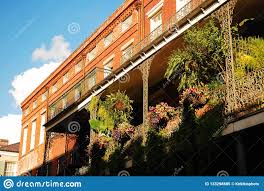 Escogiendo algunas plantas colgantes adecuadas y siguiendo. Plantas Colgantes En Un Balcon De New Orleans Imagen De Archivo Imagen De North Pics 133298885