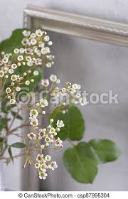 Dreamstime is the world`s largest stock photography community. Bouquet With Small White Flowers On The Background Of The Frame Silver Photo Frame On A White Gray Concrete Wall And Small Canstock