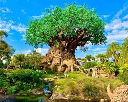 Disney's Animal Kingdom Theme Park