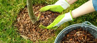 The address, phone number and the website for homegoods alpharetta are mentioned on this page. Mulch Supplier Alpharetta Quality Compost In Alpharetta Ga Wholesale Wood Products