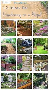 12 Ideas For Landscaping On A Slope Sloped Garden Front Yard Landscaping Landscaping A Slope