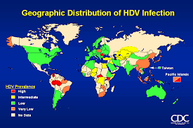 Hepatitis d is a type of viral hepatitis caused by the hepatitis delta virus (hdv), a small spherical enveloped particle that shares similarities with both a viroid and virusoid. Hepatitis D Virus