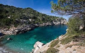 Cala figuera beach, north mallorca small pebbled beach on the cap de formentor. Best Beaches In Majorca Spain Cala Deia Near Soller