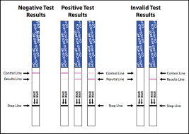 Pregnancy Test Strip Instructions Early Pregnancy Tests Com