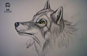 تعلم كيفية رسم كلب بالرصاص مع الخطوات للمبتدئين animal drawings animal art sketches