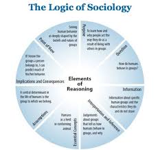 What Is Theory A Precautionary Tale Sociology Sociology Theory Sociological Imagination