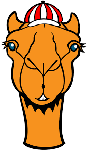 How to add the features to the face. Animated Camel Clipart Clipartfest 2 Wikiclipart