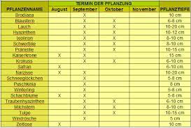 Aber auch im november und solange der boden nicht gefroren ist sogar bis weit in den dezember hinein können blumenzwiebeln noch gut gepflanzt werden. Blumenzwiebeln Im Herbst Pflanzen Gartentipps
