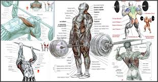 The 5 Best Bodybuilding Exercises Fitness And Power