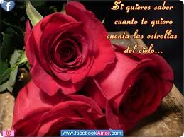 Pin En Amor