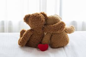 Teddy Junior at bedtime with friend