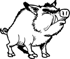 coloriage sanglier a colorier dessin imprimer moose art animals produits notes sauvages meltdown