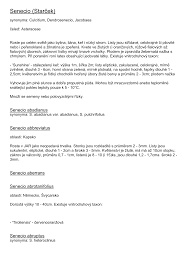 Image result for Senecio luembensis