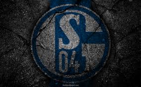 Football, franco di santo, fc schalke 04, football player, argentina national football team, sporting cp, jersey, sports png. Pin On Fussball