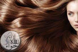 أفضل 5 وصفات طبيعية للعناية بالشعر natural hair care long hair styles hair care
