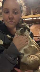 Meet the Head of Mouse Management