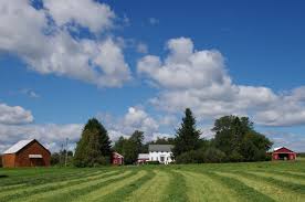 It is not a resort or a theme park! Dutch Barn Farm Localharvest