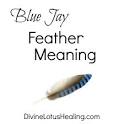Image of blue jay feather meaning