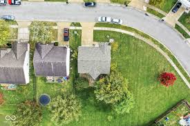 Image result for tbn:Ao0Usy--_pPGEM::www.mekshat.com/pix/upload/images49/mk42658_houssparrow.jpg