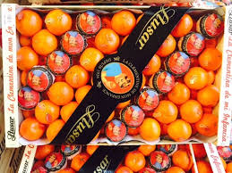 Profitez De La Clementine Haut De Gamme Llusar Un Delice Fruits Et Legumes Fruits Legumes