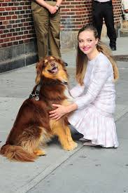 Before settling on a specific name, practice repeating it around your home. What Dog Breeds Do Celebrities Own Photos Of Celebrities With Their Dogs