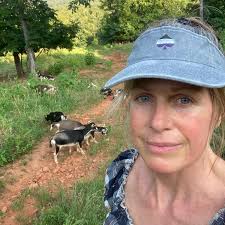 What does the witch turn Montana into during the Holomissions?