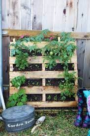 This is great for small spaces, or apartment living too! Diy Indoor Herb Gardenhow Toideas Tipsinspiration Vertical Pallet Garden Vertical Vegetable Garden Vertical Vegetable Garden Design