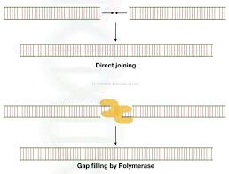 Pin On Genetic Education