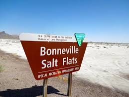 We did not find results for: A Local Wander 25 Fun Things To Do At The Salt Flats